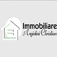 logo Immobiliare Angiolini Christian