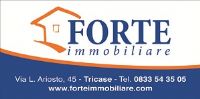 logo FORTE Immobiliare